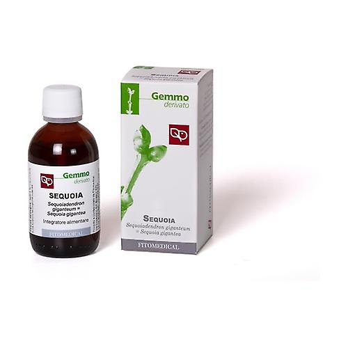 Sequoia Gemmoderivado 50 ml