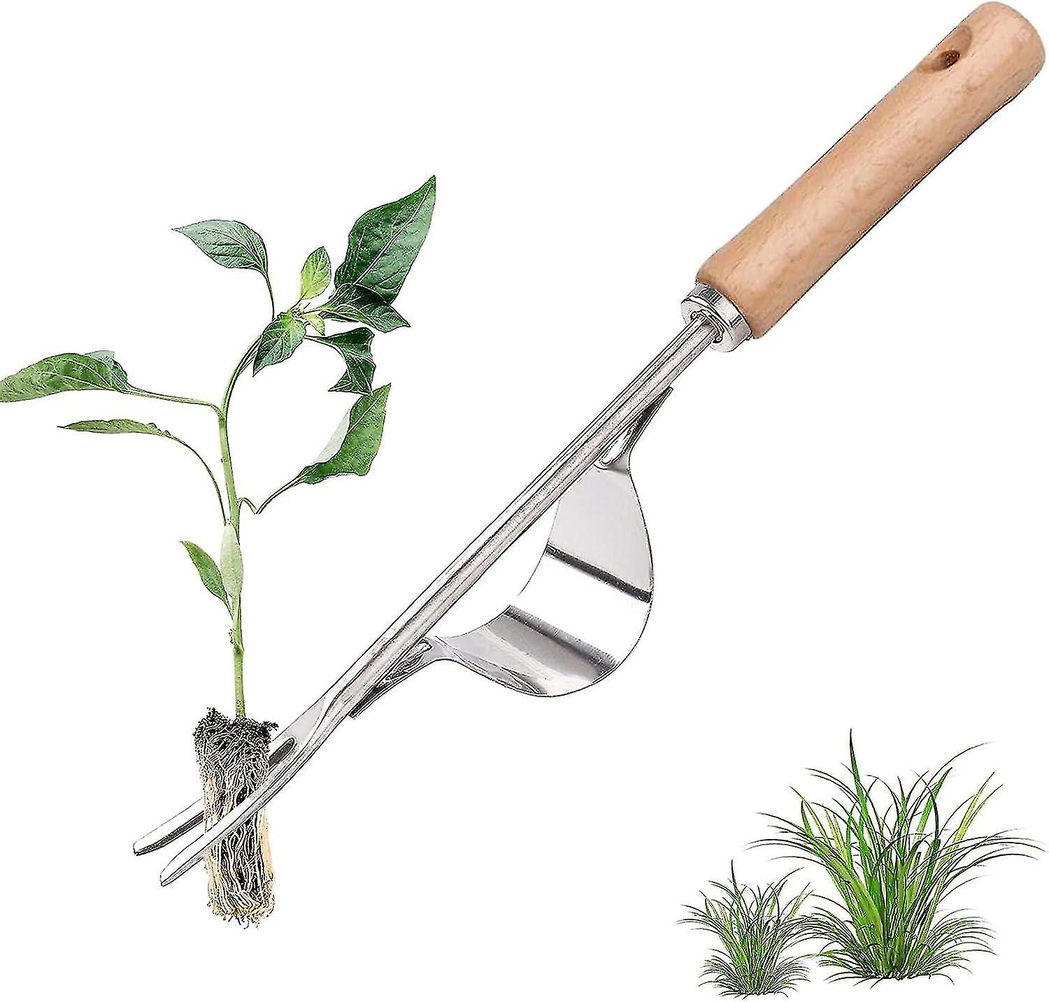 Stainless Steel Manual Weeder with Wooden Handle Tool Used for Quick Soil and Garden Weeding Y-Shape