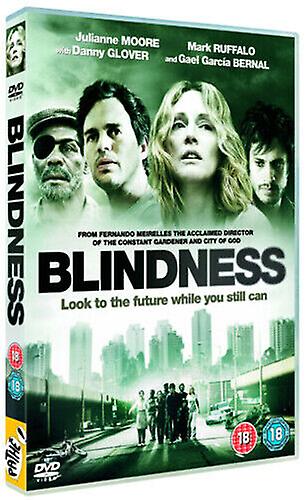 Blindness DVD (2009) Julianne Moore Meirelles (DIR) cert 18 - Region 2