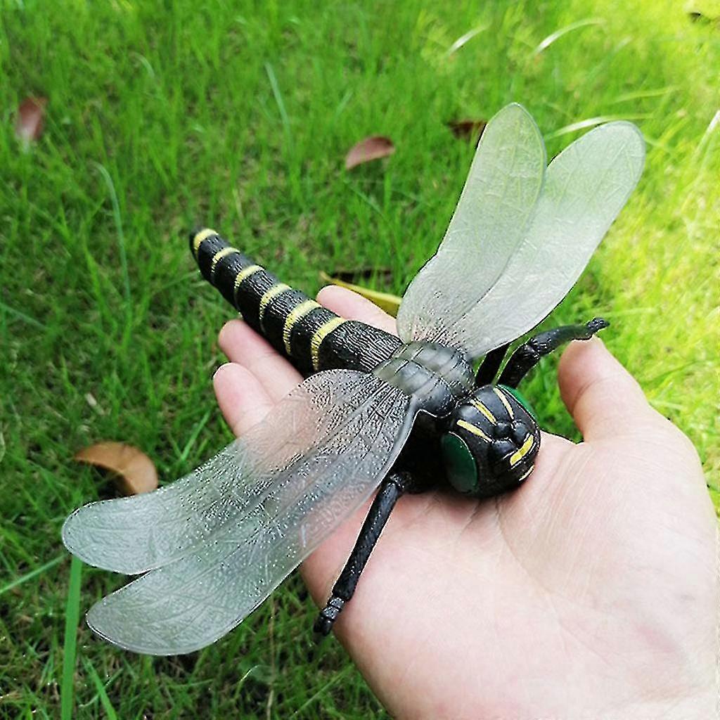 Insect Simulation Model Toys Simulation Wildlife Model Ornaments Creepy Lifelike Fake Spiders Cricket Ladybug Grasshopper Ant Dragonfly Realistic Inse