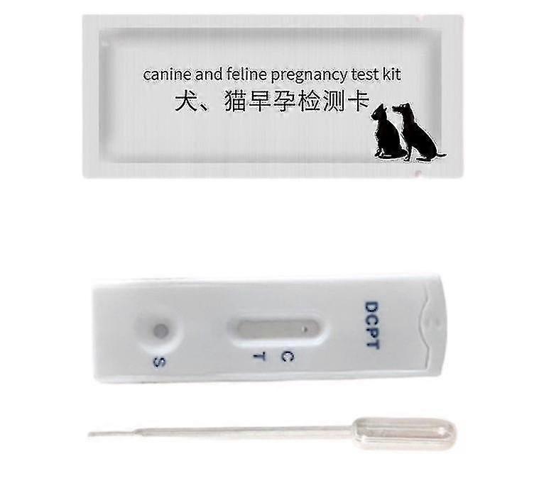 犬のストリップ犬