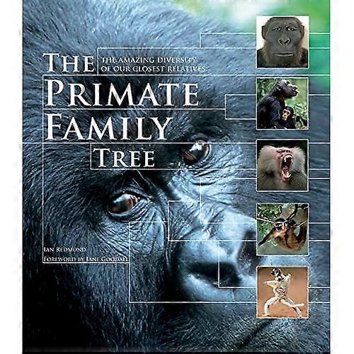 The Primate Family Tree: The Amazing Diversity of Our Closest Relatives