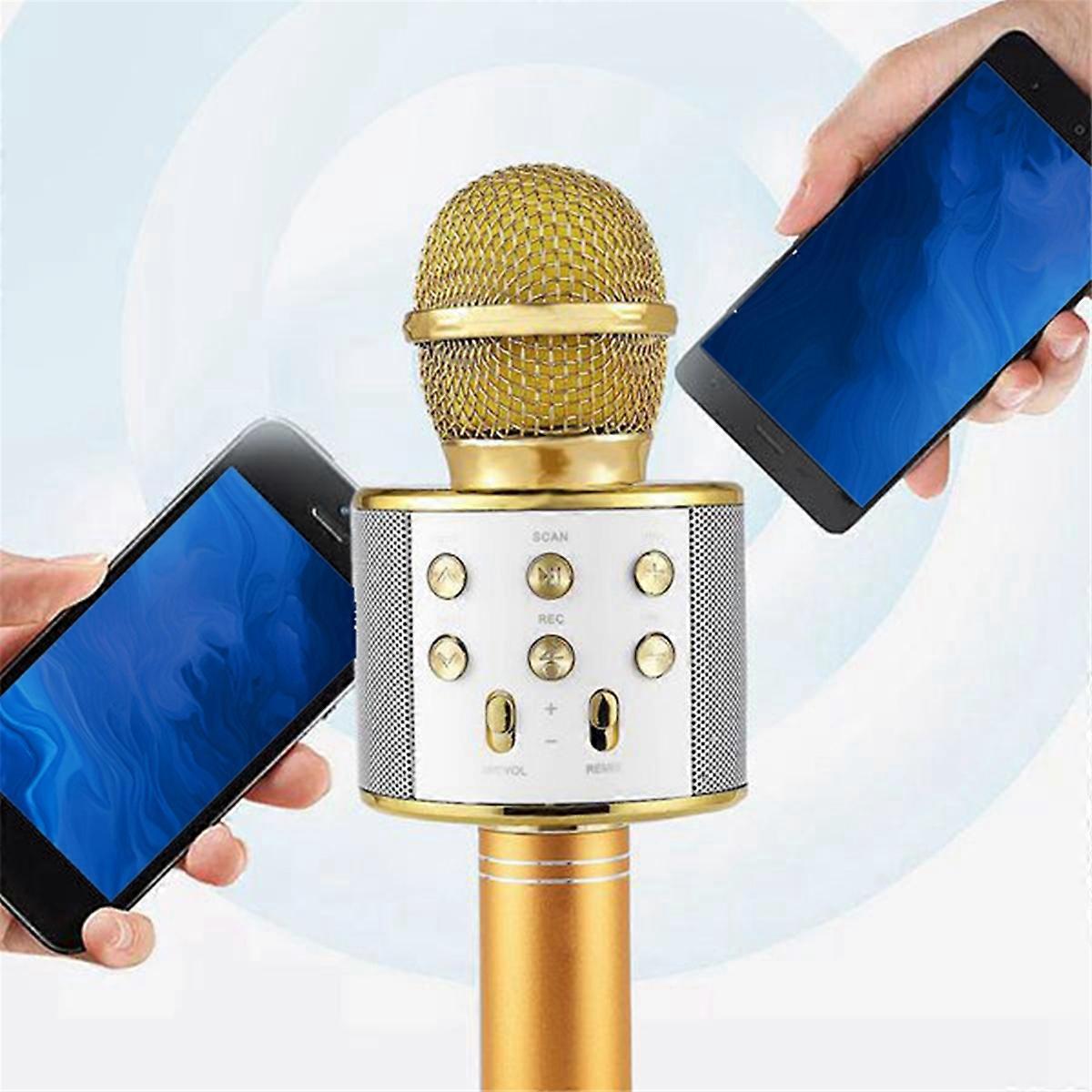Ws858 Professional Handheld Wireless USB Speaker Microphone for Kids Music Player Singing KTV Record
