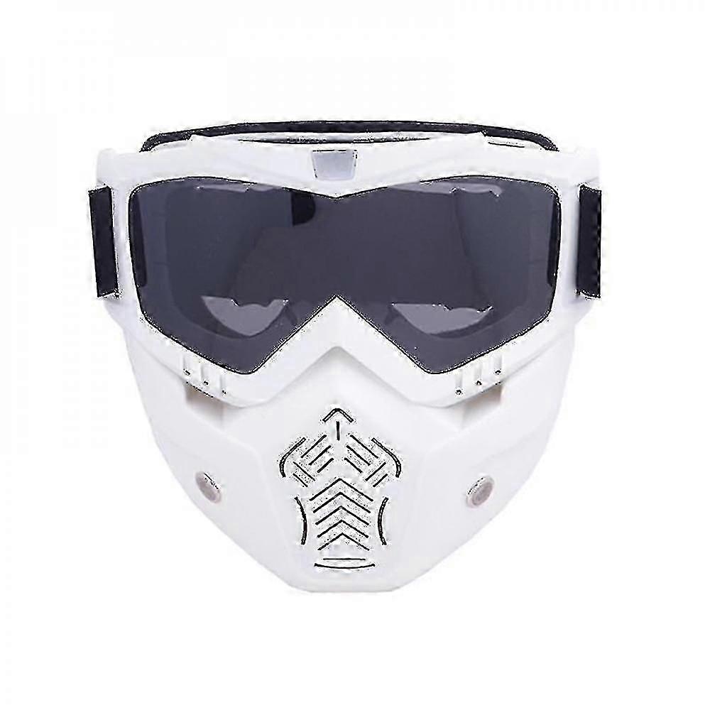 Men Women Ski Snowboard & Snowmobile Skiing Goggles