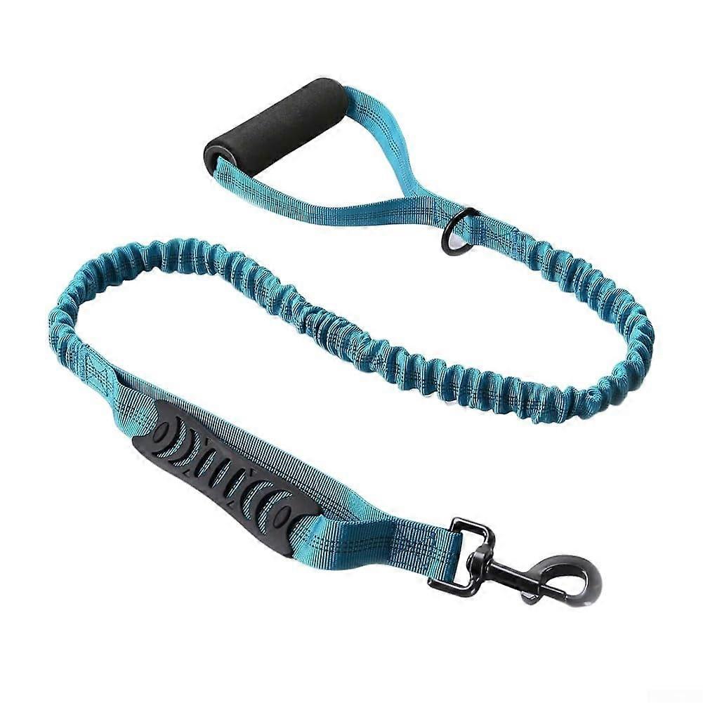 Nylon Leash with Double Handle Design, Adjustable Length, Buffer Tension (Blue)