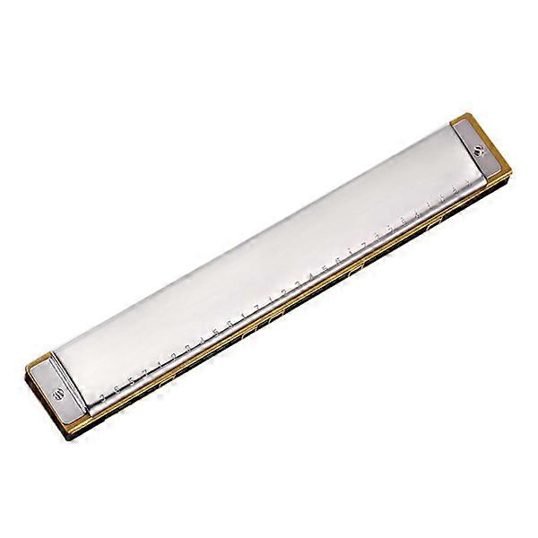 Blues Harmonica in C, 28 Holes Harmonica Diatonic Harmonica, Harmonica Silver 28 hole polyp.