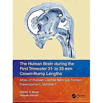 The Human Brain during the First Trimester 31 to 33 mm Crown Rump Lengths Atlas of Human Central Nervous System Development Volume 5