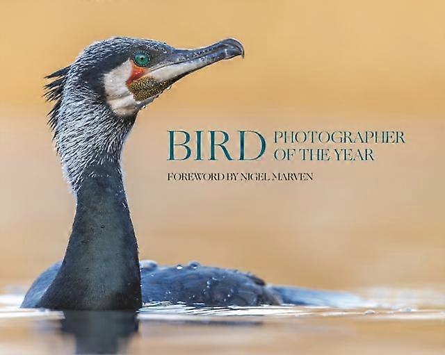 Bird Photographer Of The Year by Princeton University Press Hardback Book