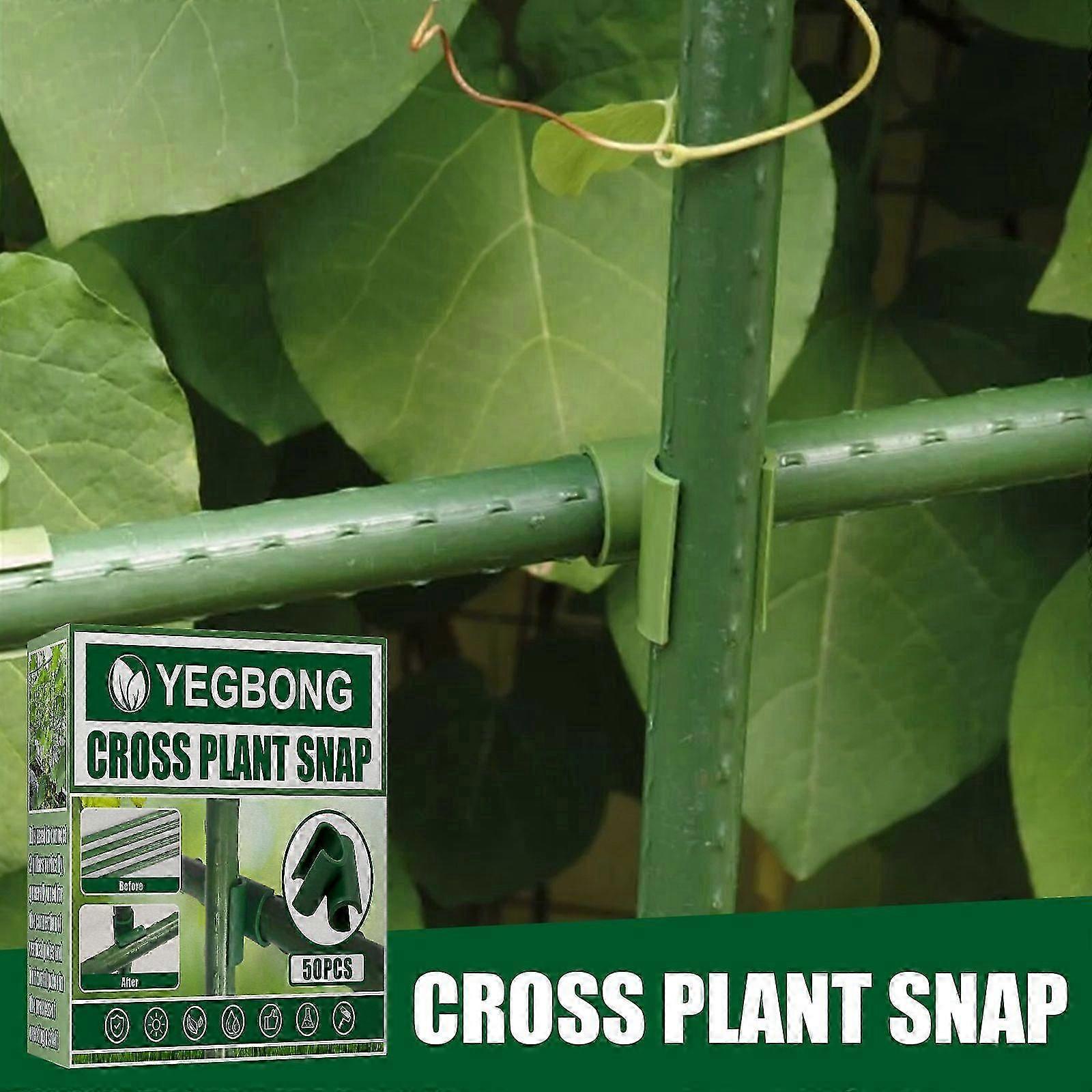 50 Pack Plastic Cross Buckles for Plant Support, Easy