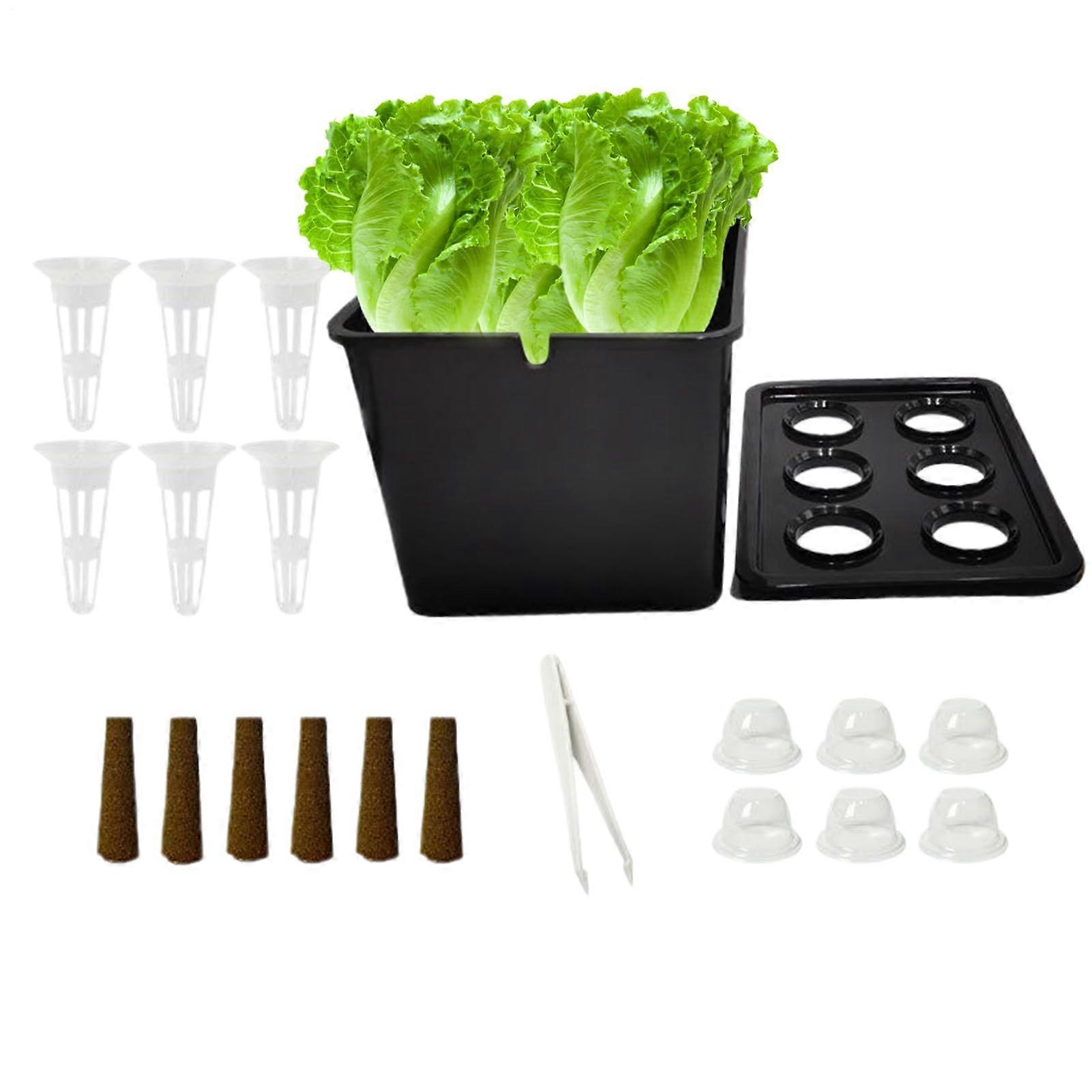 Indoor Hydroponics Kit Complete SpaceSaving System for Lettuce Herbs Balcony Home Gardening