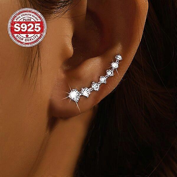 Silver Earrings, 925 Silver Material, Zircon Style, Gift Earrings