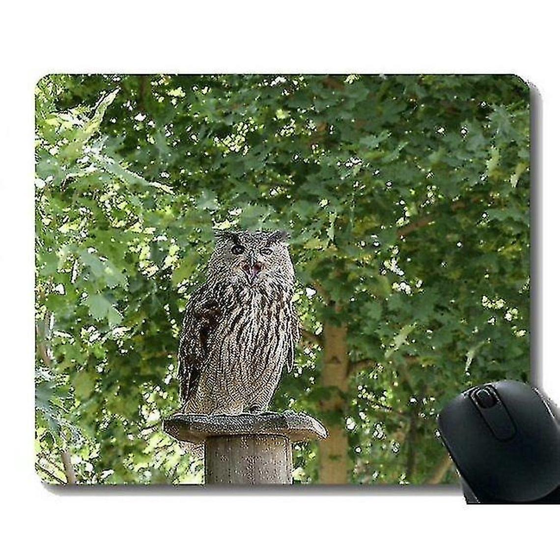 (260x210x3) Mouse Pad With Locking Edge, Flying Bird Mouse Pads