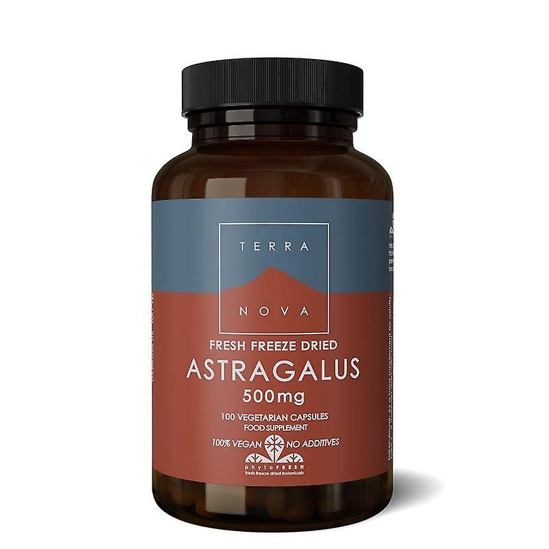 Terranova Astragalus 500mg Capsules 100 (T2596)