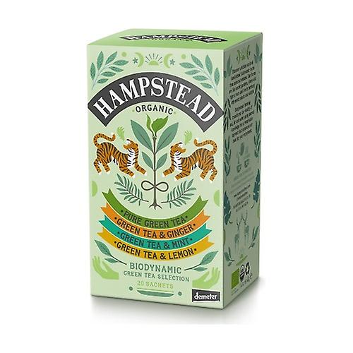 Green tea selection pack 20 infusion bags (Green Tea)