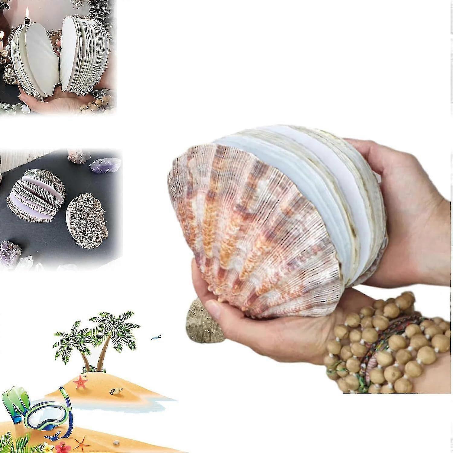 Abalone Shell/Lion's Paw Shell/Scallop Shell Journal, Small Journal Notebook, Natural Shells Textures Creative Sketchbook, Cute Shell Sticky Note Pads