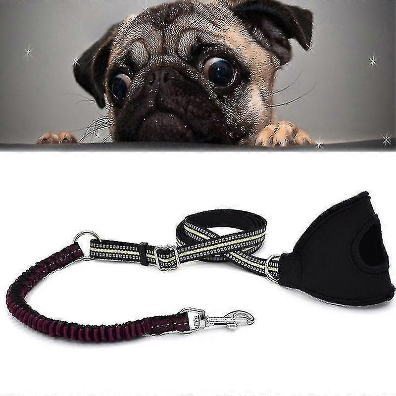 Nuovo stile Pet Dogs Nylon Riflettente Corda Portatile Regolabile Telescopia Trazione Guinzaglio piombo, Dimensioni:
