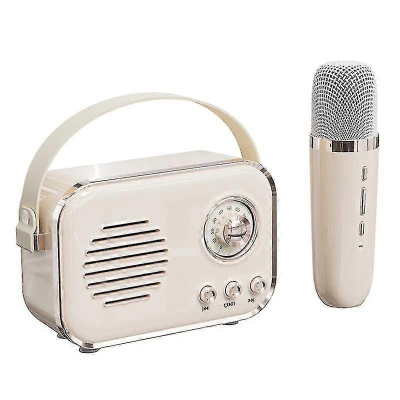 P33 Plus Fm Radio Bluetooth Speaker With Wireless Microphone Home Karaoke Machine