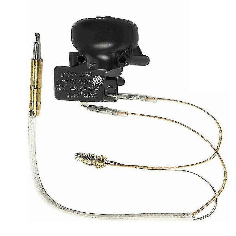 Thermocouple Og Tilt Switch For Patio Heater Dump Switch For Propan Heater Patio Heater Utendørs Ga