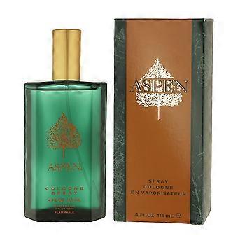Men's Perfume Aspen EDC Aspen 118 ml