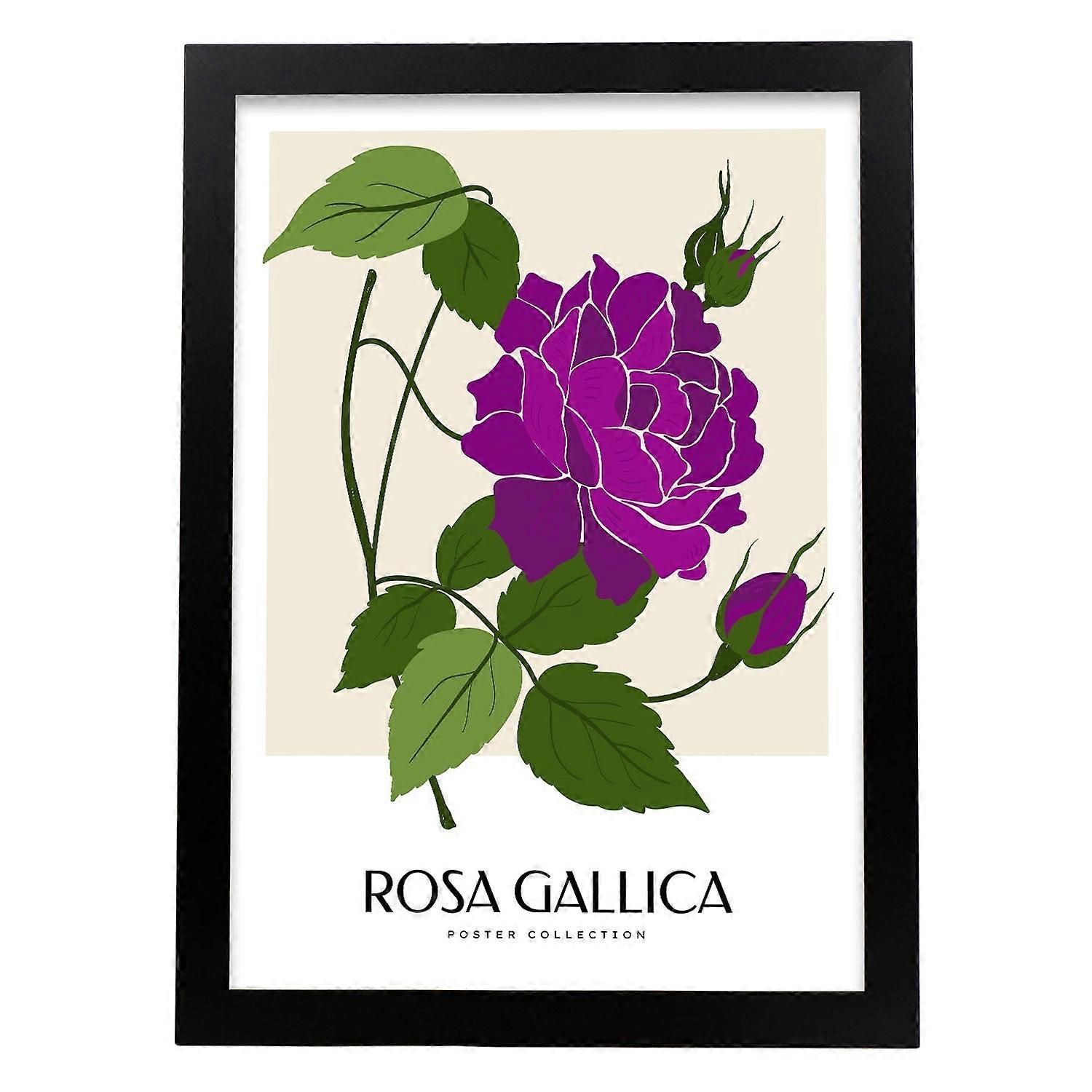 Affiche de Rosa Gallica