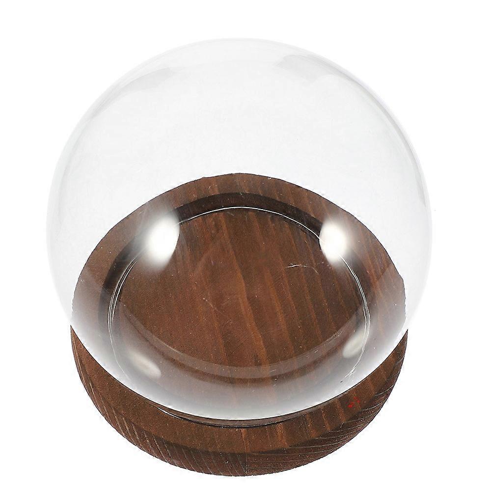 Glass Dome with Base for Protection Wooden Decorative Globe