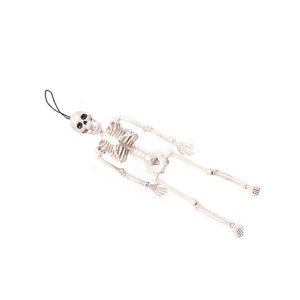 Artificial Human Skeleton Skull Skeleton for Decoration
