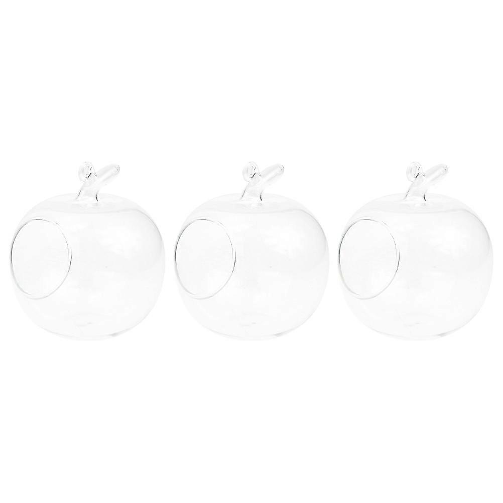 Micro Landscape Display 3Pcs Hydroponic Desktop Bottle Tabletop Display Transparent for Office Workers