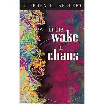 In de nasleep van de Chaos: onvoorspelbare orde in dynamische systemen (wetenschap en haar conceptuele stichtingen-serie)...