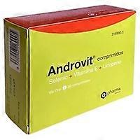 Androvit (men's multinutrients) 30 tablets