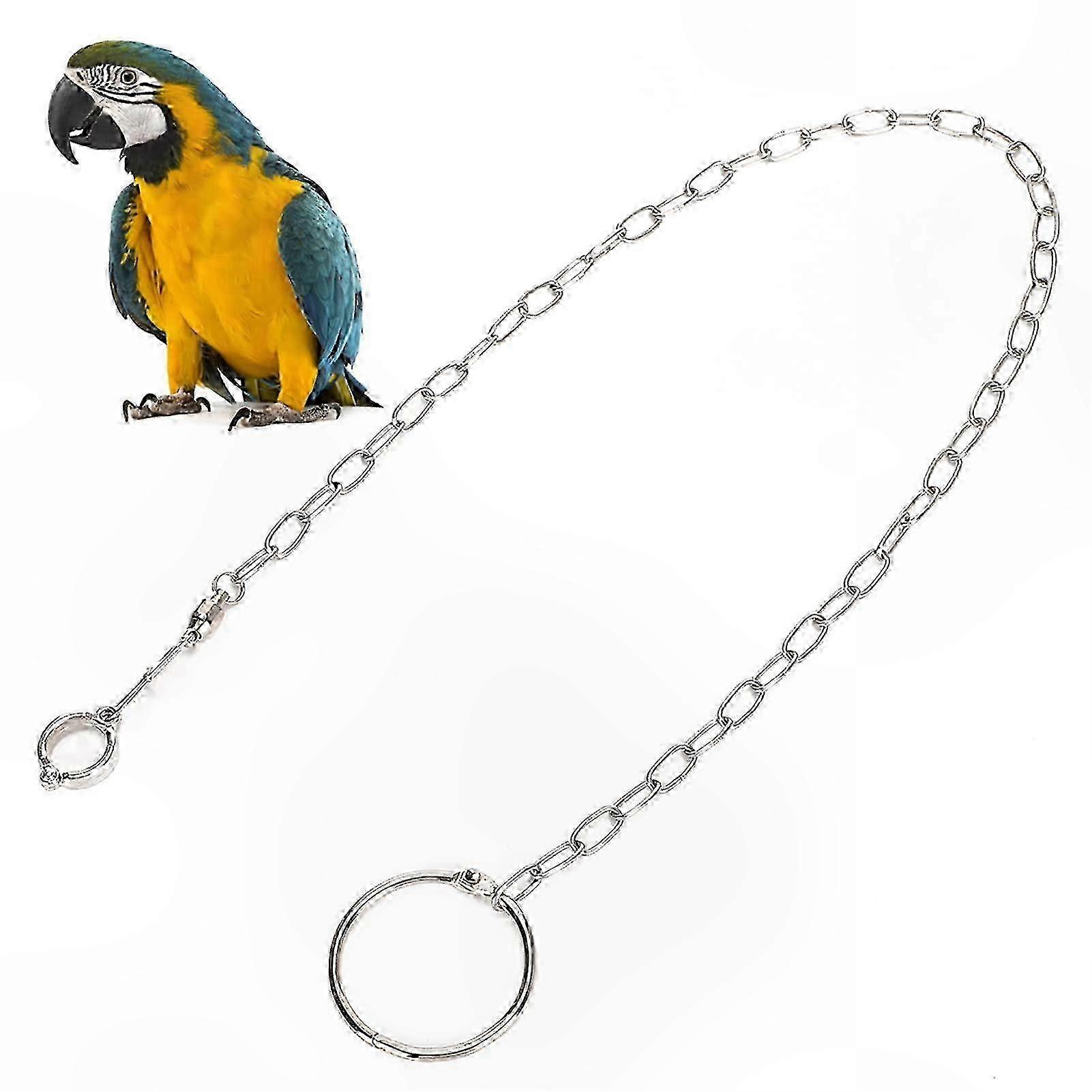 Durable Bird Anklet compatible with Parrot Training, Stainless Steel Split Ring compatible with Large Birds