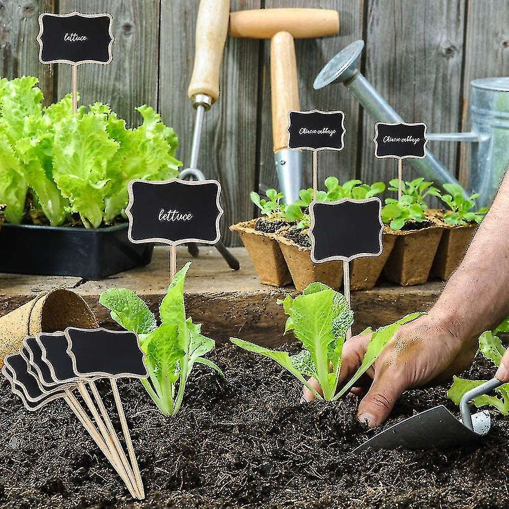 40 Holzetiketten Für Pflanzen – T-förmig, Mit Marker, Für Garten & Küche