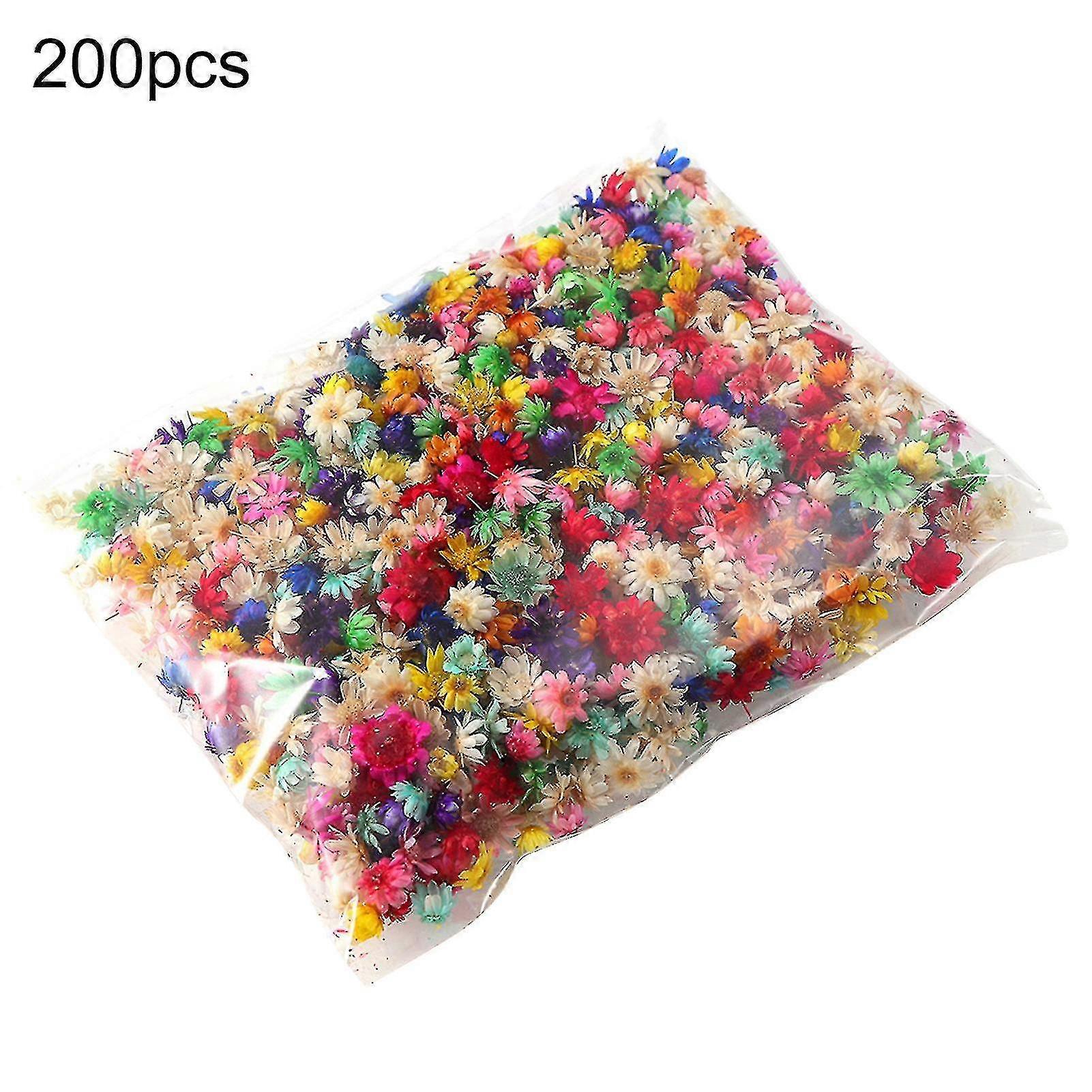 200pcs Preserved Flower Eye-catching Bright-colored Long Lasting Stylish Visual Effect Dried Flower Display For Diy