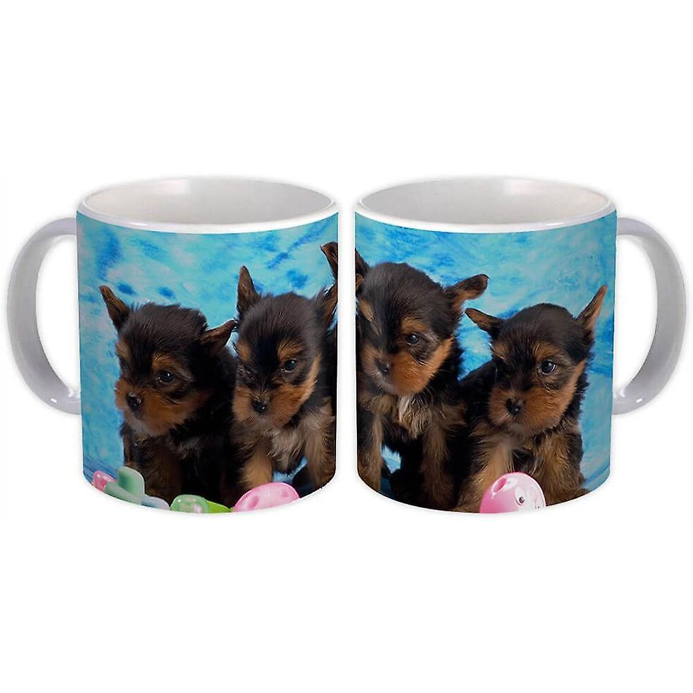 Hediye Kupa: Yorkshire Pet