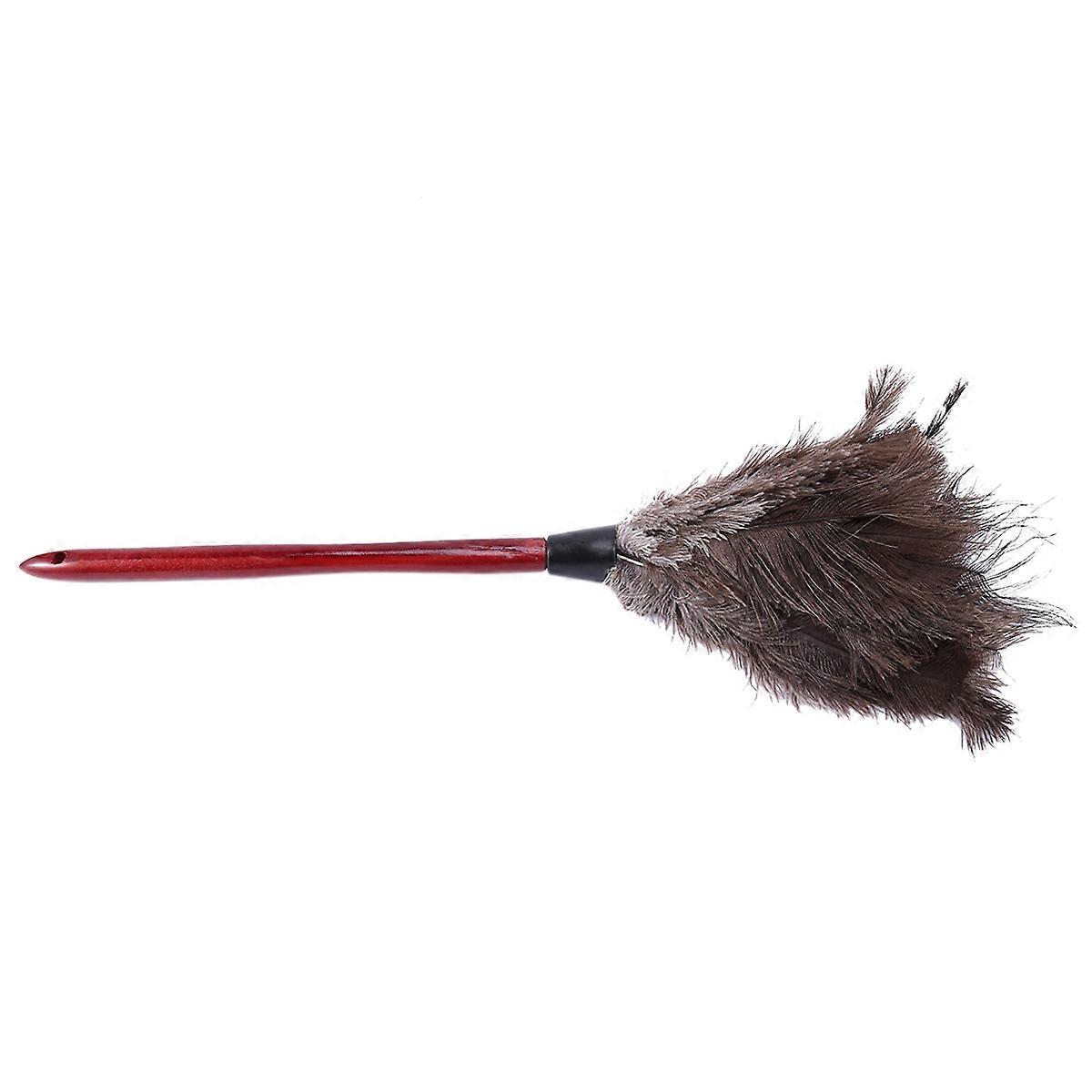 Ostrich Cleaning Duster Ostrich Duster Ostrich Duster Soft Feathers Duster From Furniture To Fan Bl