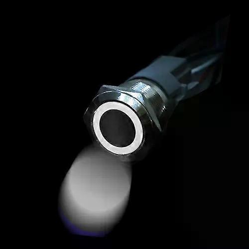 Fsw 12/16/19/22MM Metal Push Button Switch Waterproof Flat Circular Power Led Light Self-Lock Self-Reset 3-6V 12-24V 220V