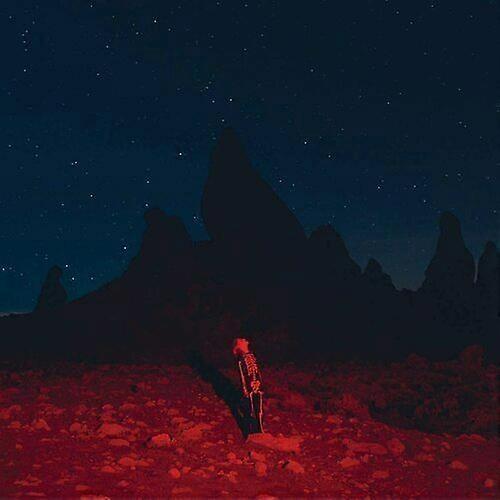 Phoebe Bridgers Punisher CD (2020) NEW