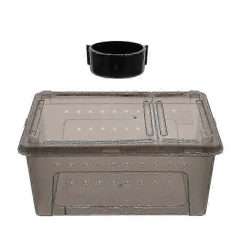 Reptile Carrier Box with Ventilation Holes - Portable Plastic Habitat for Lizards, Snakes