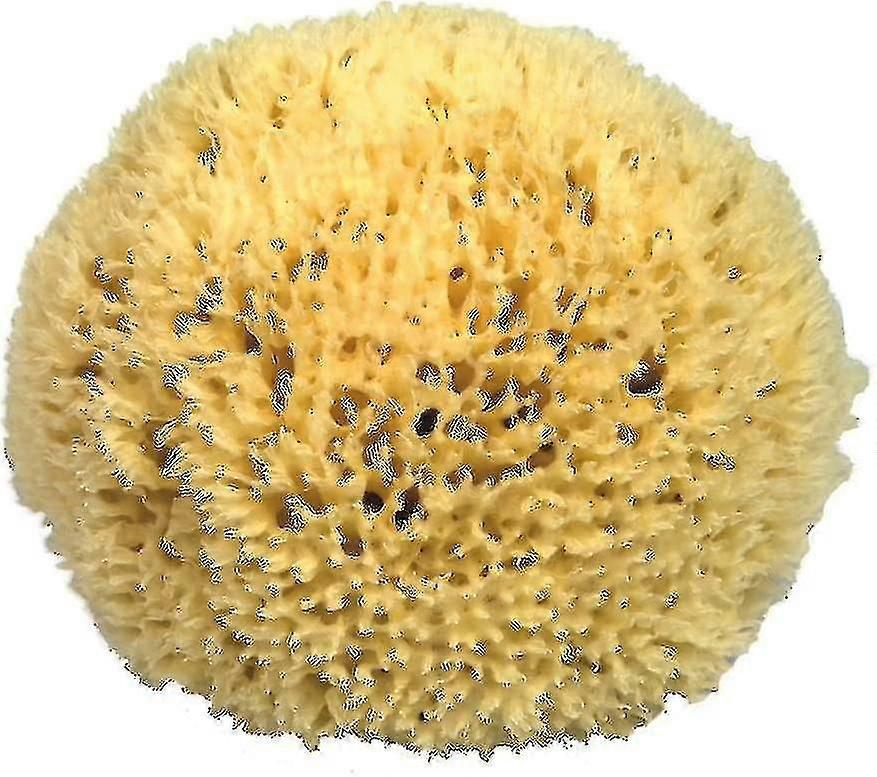 إسفنجة حمام البحر الأبيض المتوسط الطبيعية 11 سم صديقة للبيئة ناعمة هيبوالرجينيك للجسم والوجه