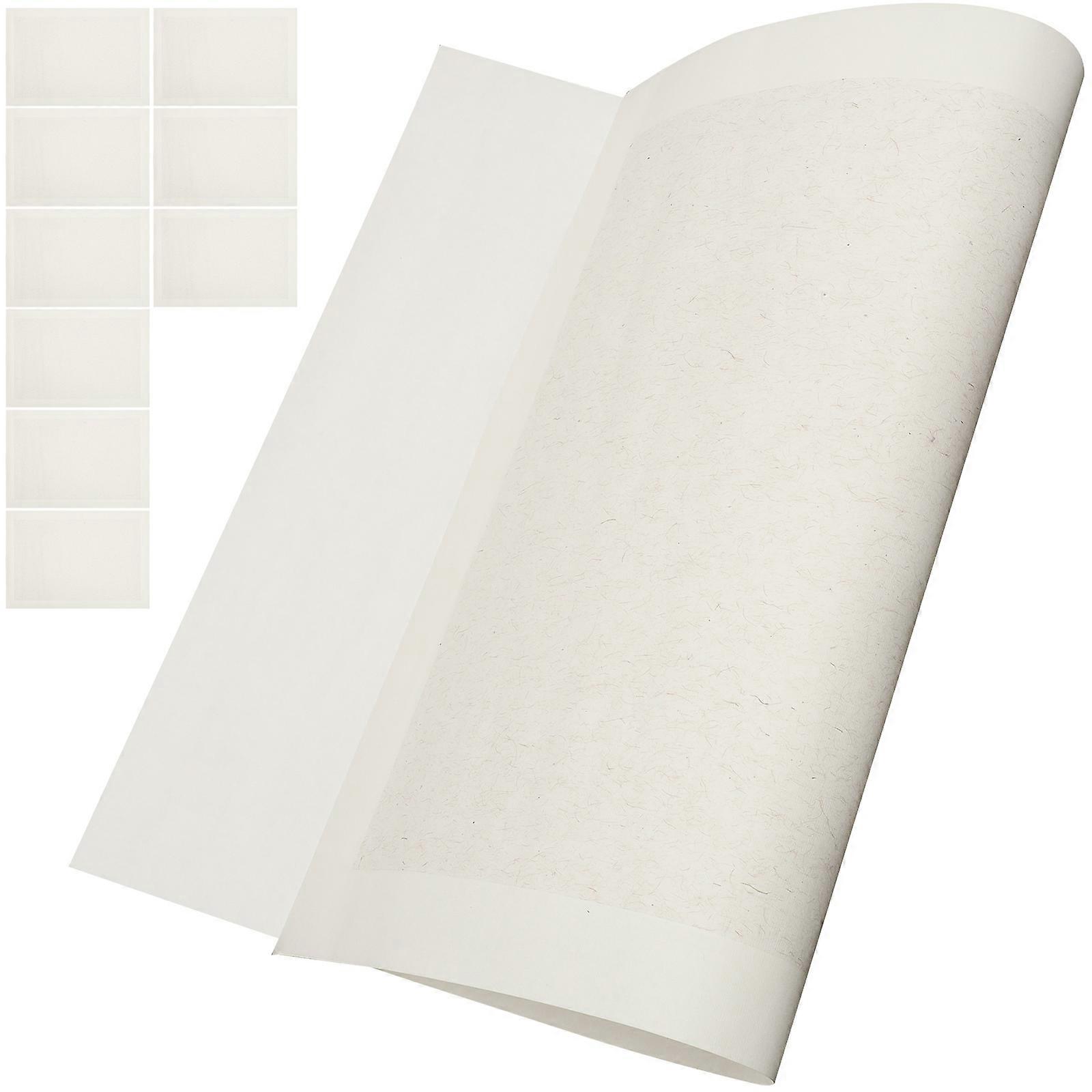 Rice Paper for Painting Drawing Paper for Calligraphers Traditional Chinese Art 0.01X45X68CM Water-absorbing 10 Sheets