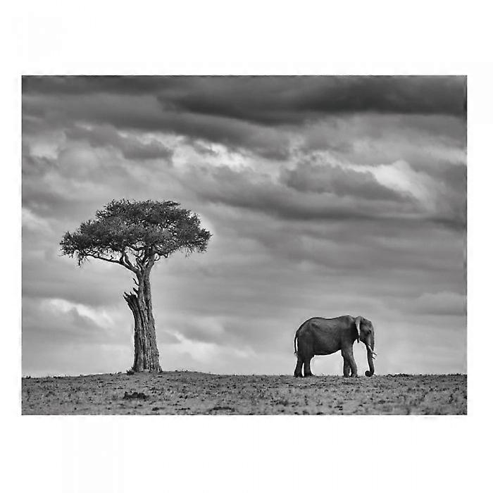 Impression de Mario Moreno, Terre des Géants