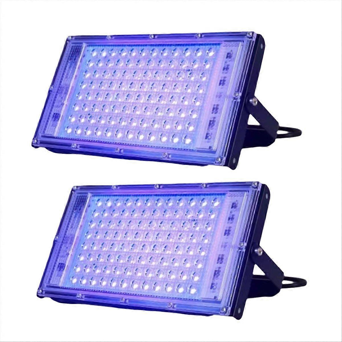 2 Pcs UVA Black Light 220V Black Lights IP65 EU Plug 100W