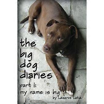 Mon nom est Big : La recherche d'un foyer pour un chien pitbull adopté