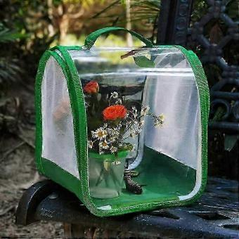 Butterfly Growing Kit with Mesh Habitat and Clear Panels for Educational Observation, Portable Foldable Tool Kit Only
