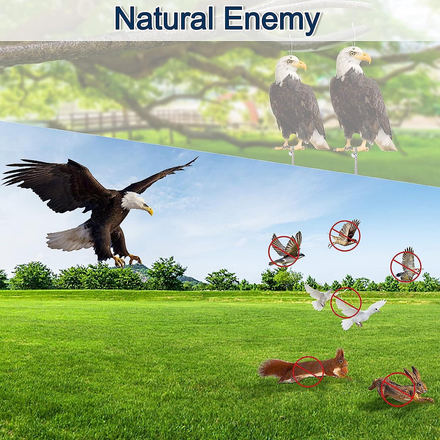 Fake Owls To Keep Birds Away, Bird Scare Devices Outdoor, Cardboard