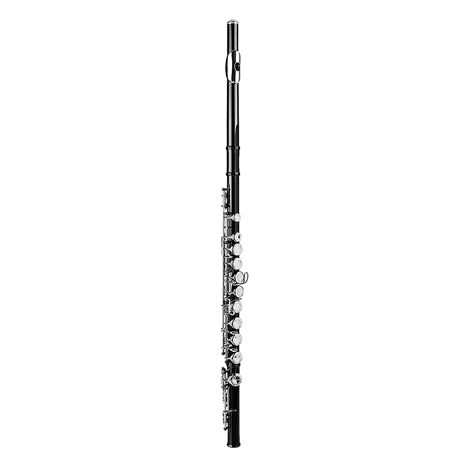 LADE C nøgle 16 huller messing fløjte kit 66,7x3,5cm sort med etui