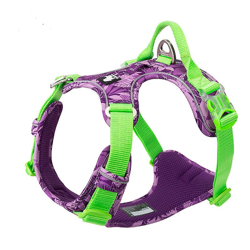 Sangle de poitrine de traction pour chien
