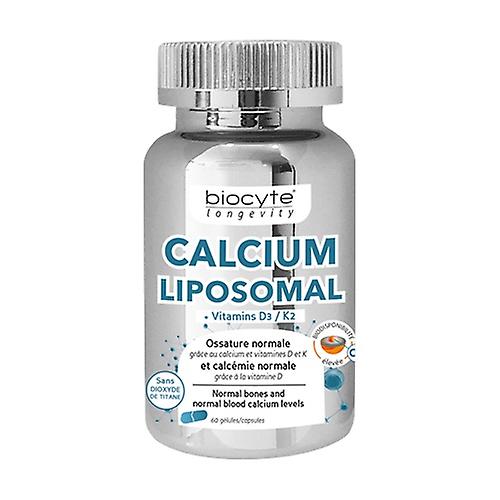 Calcium d3 k2 60 capsules