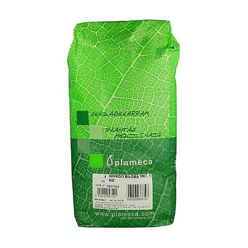 Shredded Ginkgo Biloba Herb 1 kg