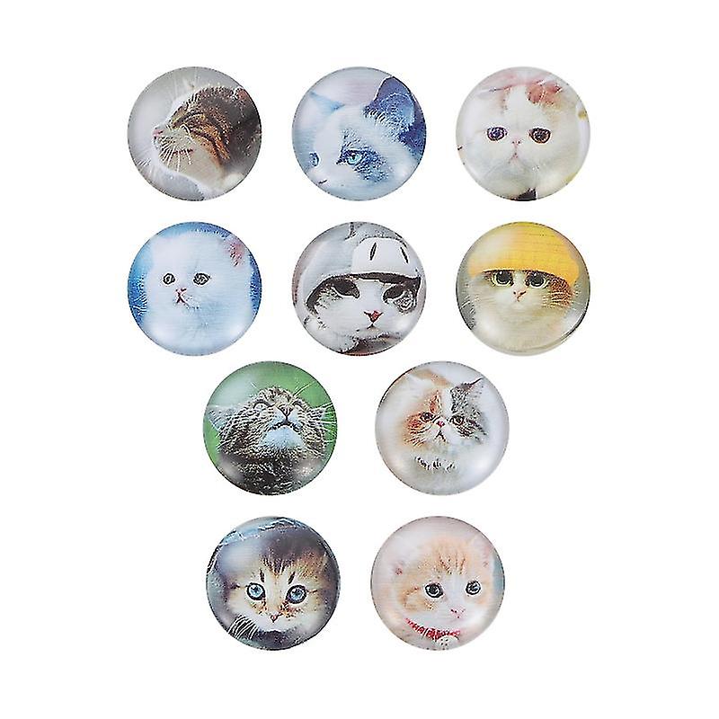 10pcs Animal Magnets