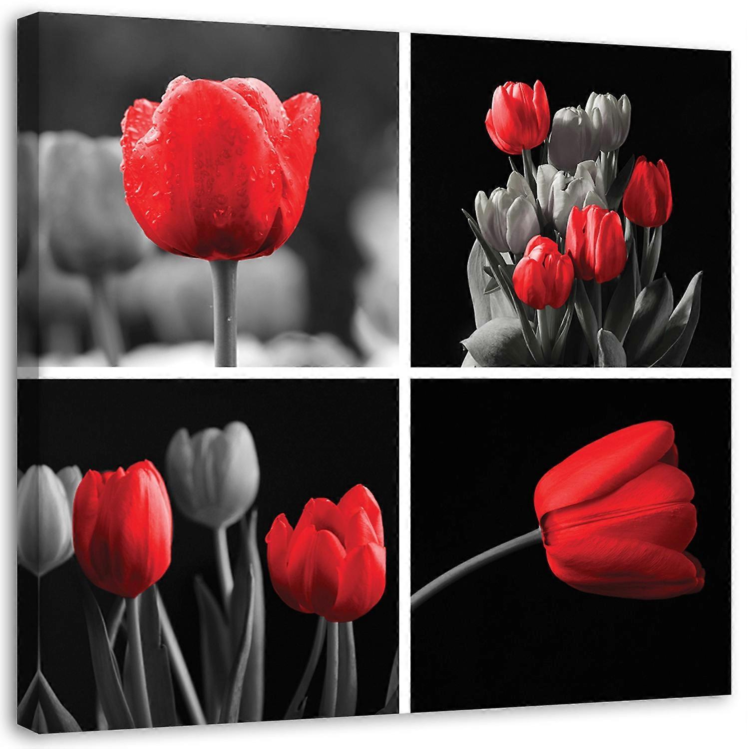 Fotobehang, Set rode tulpen - 60x60